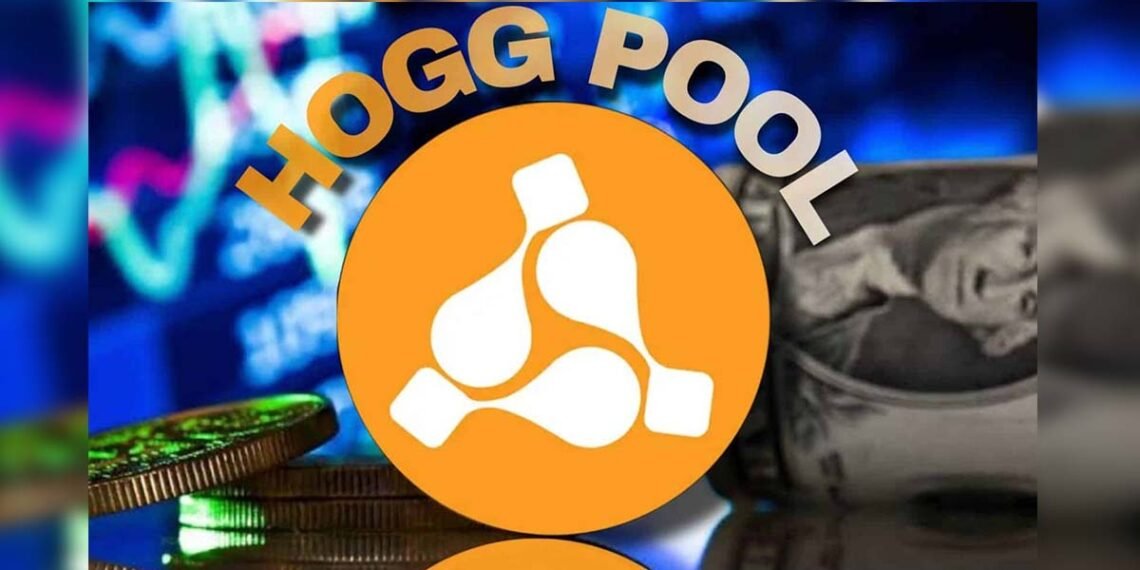 تطبيق هوج بول