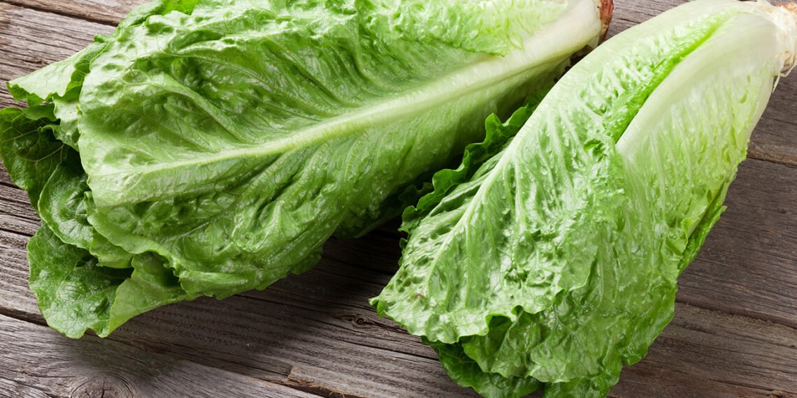 فوائد الخس على المعدة