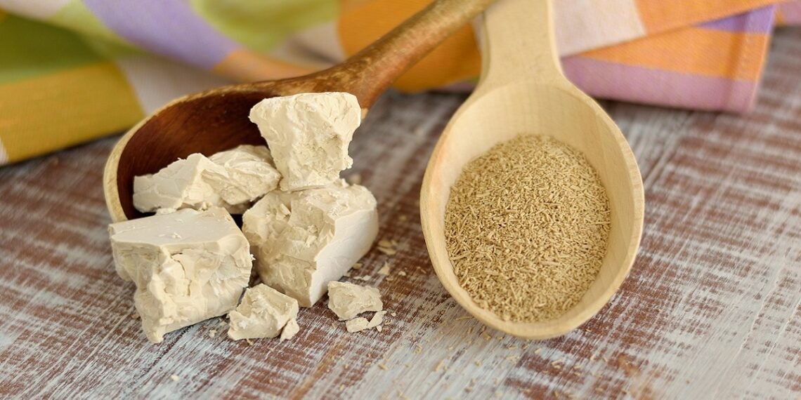 فوائد الخميرة الطبيعية للجسم