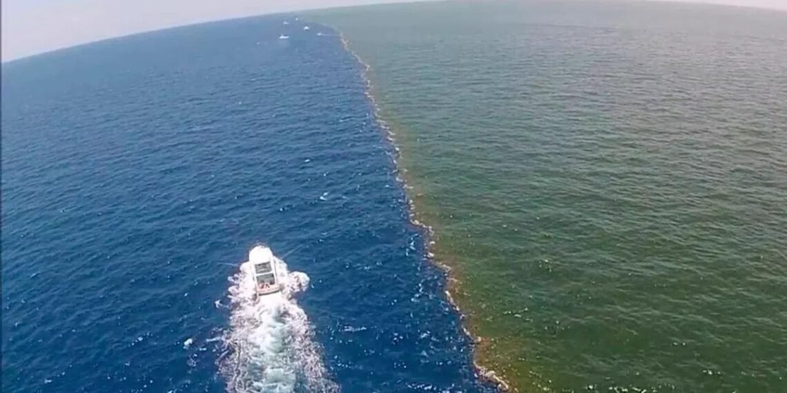 أين يوجد مرج البحرين