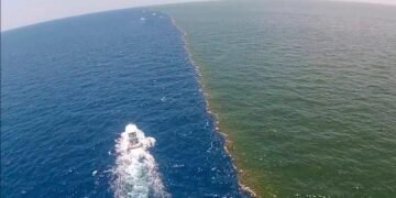 أين يوجد مرج البحرين