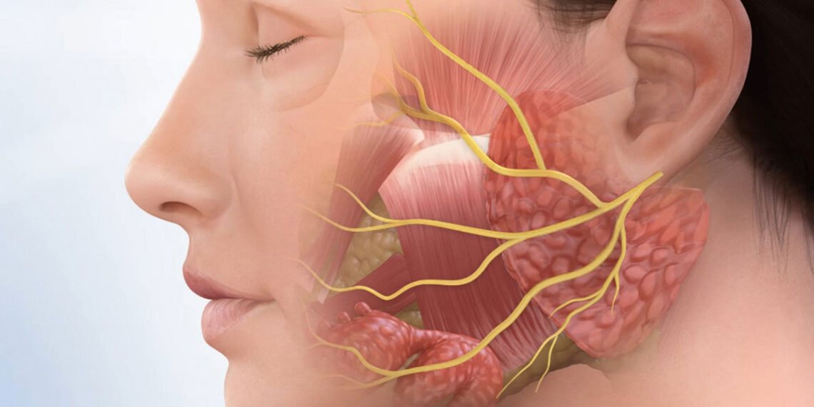 علاج العصب السابع بالاعشاب والأدوية