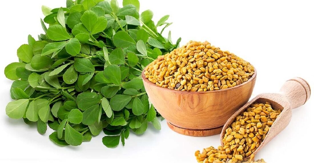 فوائد شرب الحلبة قبل النوم