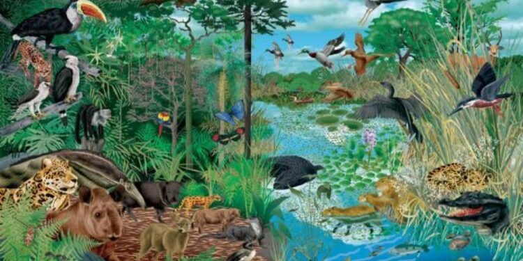 تصنيف الكائنات الحية